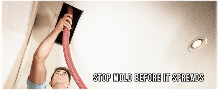 Air Duct Mold Removal in Houston